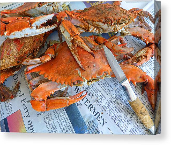 Crab Canvas Print featuring the photograph Maryland Feast by Louise Peardon
