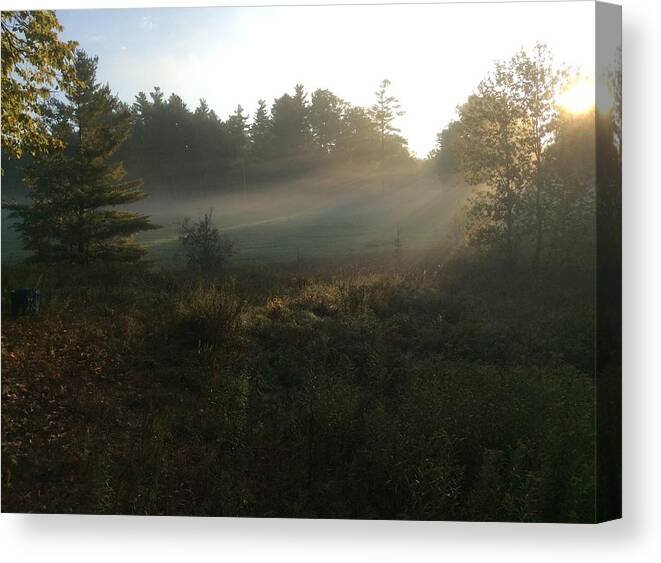 Mist Canvas Print featuring the photograph Mist in the Meadow by Pat Purdy