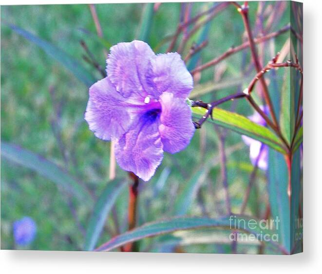 Flower Canvas Print featuring the photograph Morning Flower by Leslie Revels