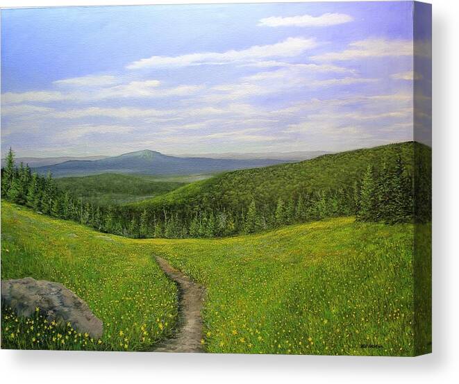 Mountain Meadow Summer Vermont Canvas Print featuring the painting Mountain Meadow by Ken Ahlering