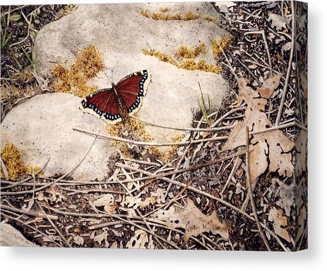 Butterfly Canvas Print featuring the painting Mourning Cloak by Conrad Mieschke