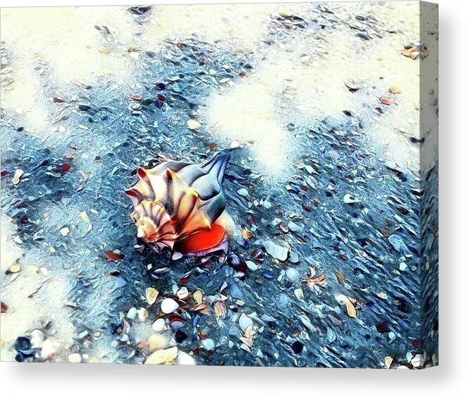 Shell Canvas Print featuring the photograph Mystic Conch by Sherry Kuhlkin