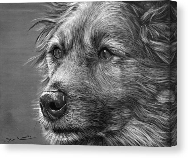 Dog Canvas Print featuring the painting Old Charlie by John Neeve