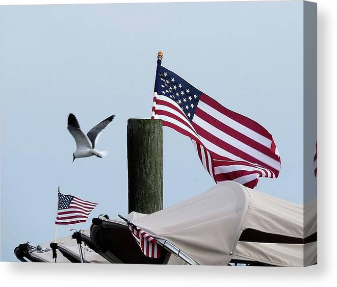 American Flag Canvas Print featuring the photograph Old Glory and Gull by Linda Stern