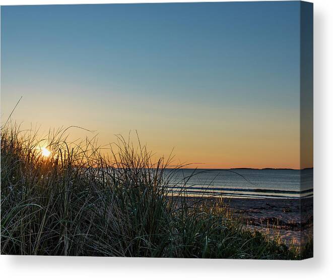 Sunrise Canvas Print featuring the photograph Old Orchard Sunrise by Holly Ross