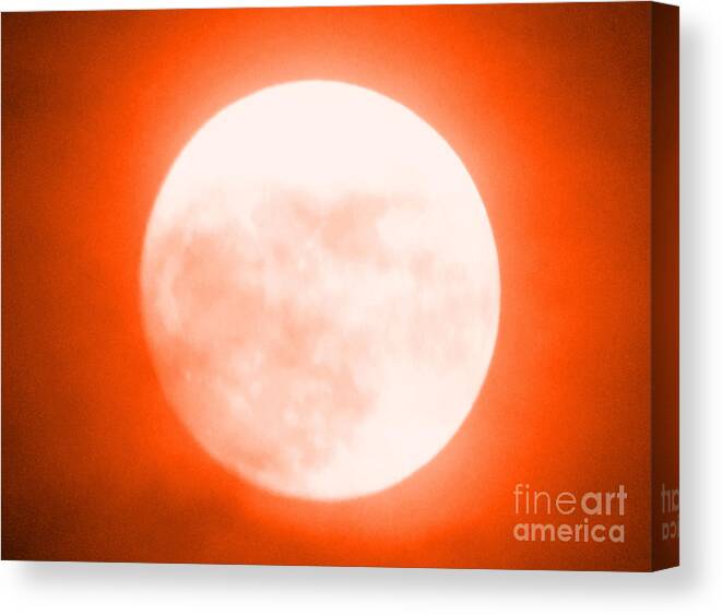 Moon Canvas Print featuring the photograph Once in an Orange Moon by Carol Eliassen