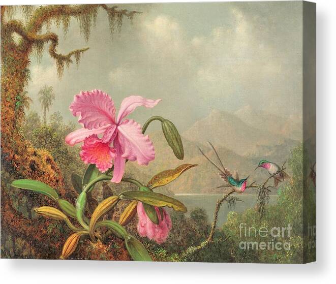 Uspd: Reproduction Canvas Print featuring the painting Orchids and hummingbirds by Thea Recuerdo