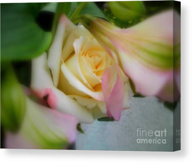 Delicate Flowers Canvas Print featuring the photograph Out Like A Lamb by Sian Lindemann