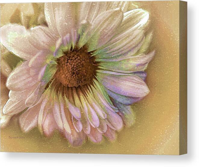 Chrysanthemum Canvas Print featuring the digital art Painted Mum by Bonnie Willis