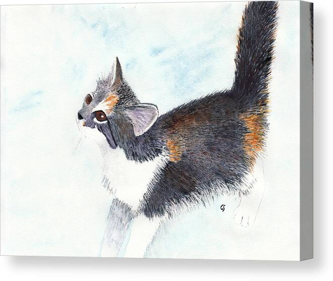 Cat Canvas Print featuring the painting Calico Barn Cat Watercolor by Conni Schaftenaar