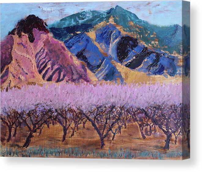Mountain Canvas Print featuring the painting Peach Orchard Canigou by Vera Smith