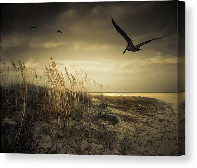Pelicans Canvas Print featuring the photograph Pelicans Over the Beach by Sandra Selle Rodriguez