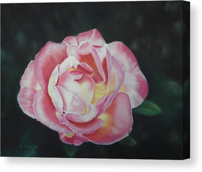 Flower Canvas Print featuring the pastel Petals Of Love by Carol Corliss