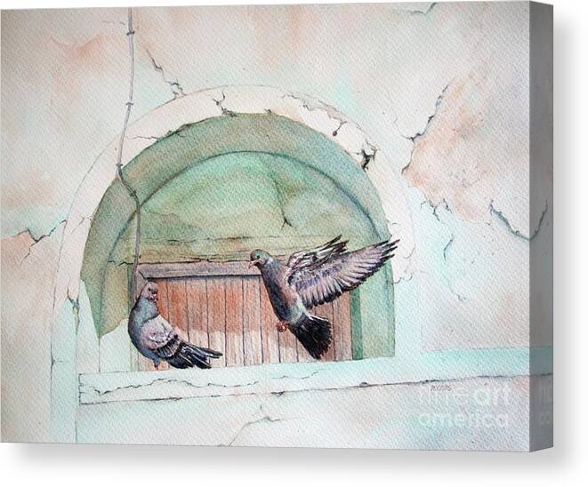 Pigeon Canvas Print featuring the painting Pigeon Perch by Rebecca Davis