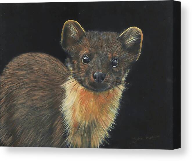 Pine Marten Canvas Print featuring the painting Pine Marten by John Neeve