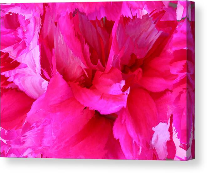 Pink Canvas Print featuring the photograph Pink Splash by Kristin Elmquist