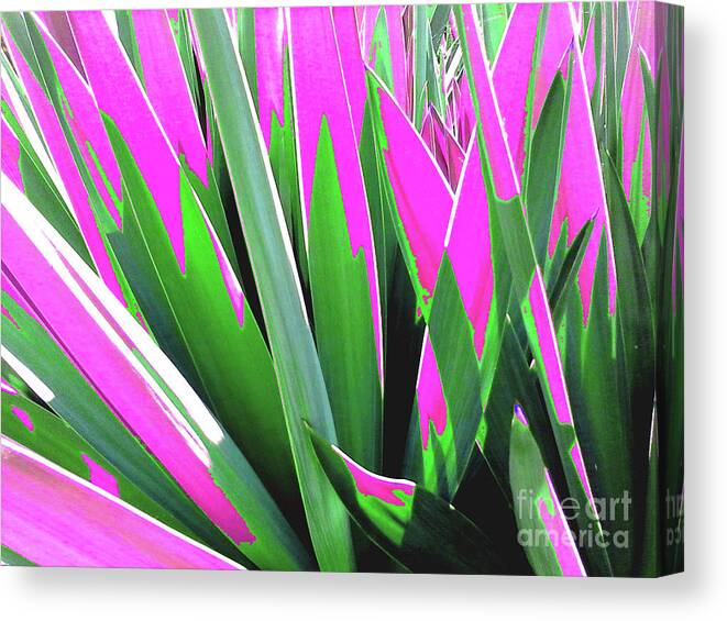 Nature Canvas Print featuring the photograph Plant Burst - Pink by Rebecca Harman