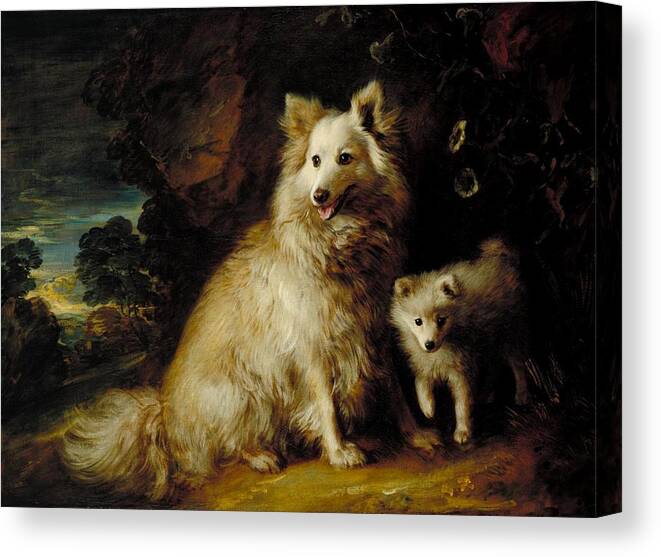 Thomas Gainsborough Canvas Print featuring the painting Pomeranian Bitch and Puppy by Thomas Gainsborough