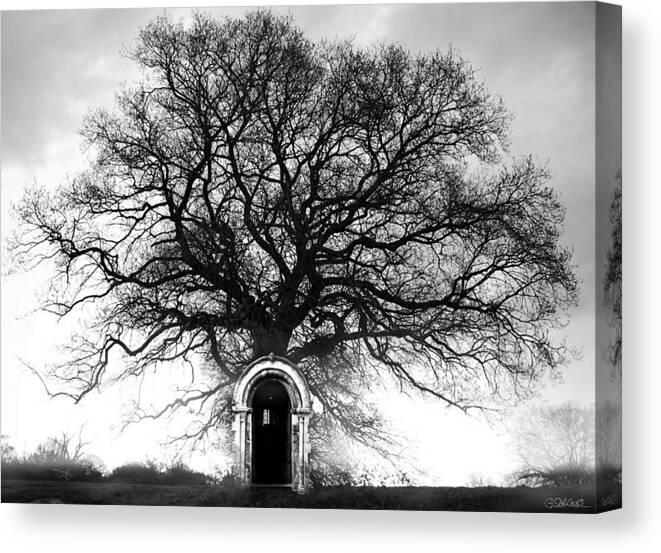 Tree Canvas Print featuring the photograph Principium by Gianni Sarcone