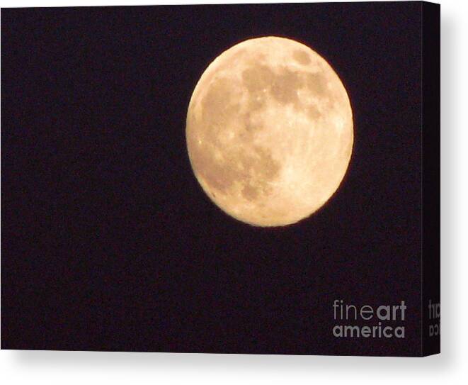 Moon In Very Dark Sky Canvas Print featuring the photograph Rabbit in the Moon by Phyllis Kaltenbach