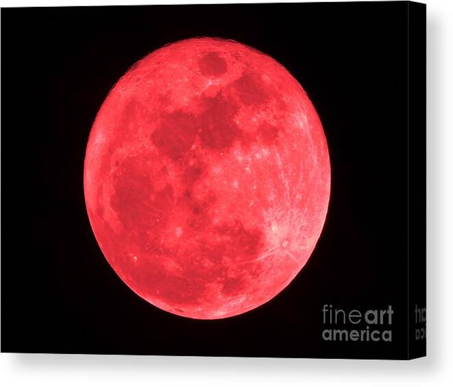 Moon Canvas Print featuring the photograph Red Full Moon by D Hackett
