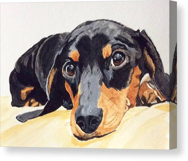 Dachshund Canvas Print featuring the painting Please Come Home by Sonja Jones