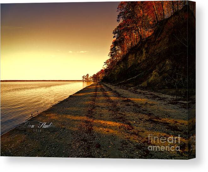 Relaxing Canvas Print featuring the photograph Relaxing In Surry Virginia by Melissa Messick