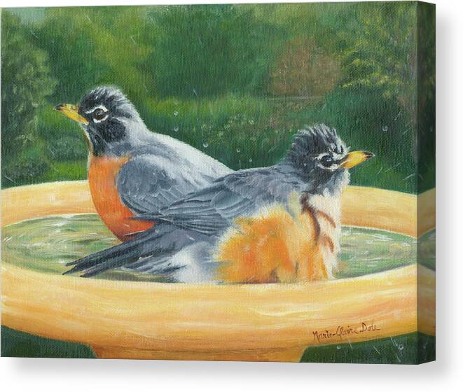 Robins Canvas Print featuring the painting Robins Bathing by Marie-Claire Dole