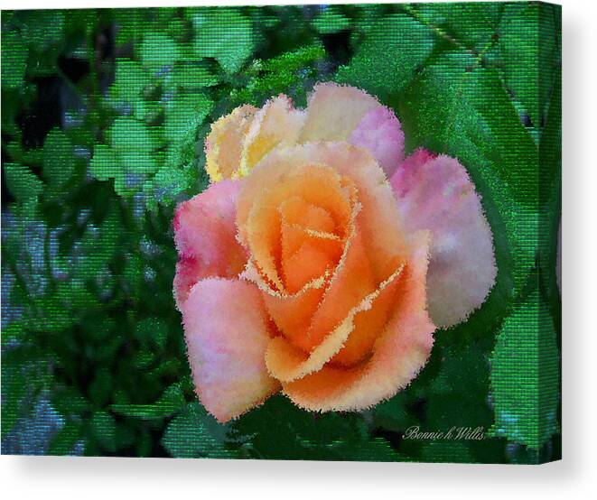 Rose Canvas Print featuring the photograph Rose by Bonnie Willis