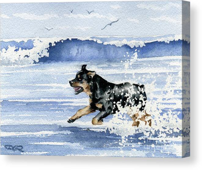 Rottweiler Canvas Print featuring the painting Rottweiler at the Beach by David Rogers