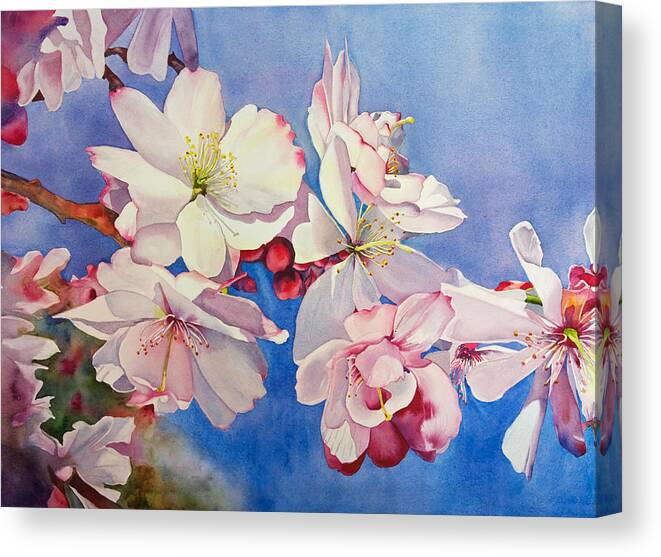 Cherry Blossoms Canvas Print featuring the painting Sakura by Diane Fujimoto
