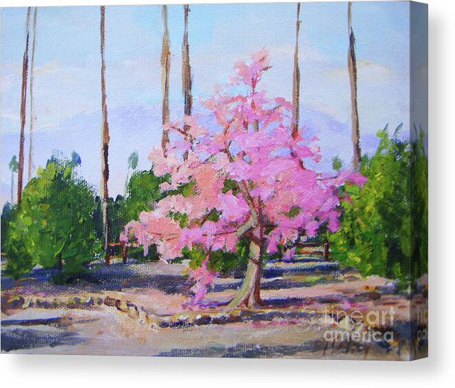 Floss Silk Tree Canvas Print featuring the painting Scene Stealer by Joan Coffey