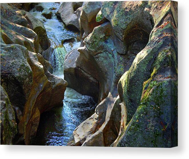 Sculptured Rocks Canvas Print featuring the photograph Sculptured Rocks by Nancy Griswold