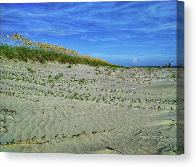 Beach Canvas Print featuring the photograph Sea Swept by Sherry Kuhlkin