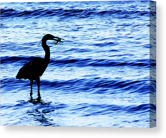 Heron Canvas Print featuring the photograph Seafood Deli by Barbara White