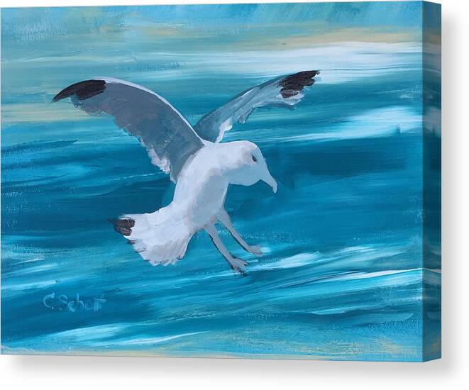 Seagull Canvas Print featuring the painting Seagull by Christina Schott