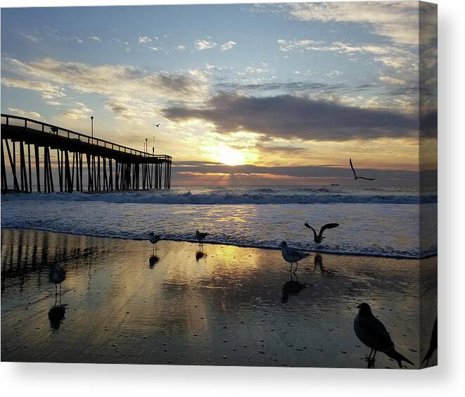 Seagulls Canvas Print featuring the photograph Seagulls and Salty Air by Robert Banach