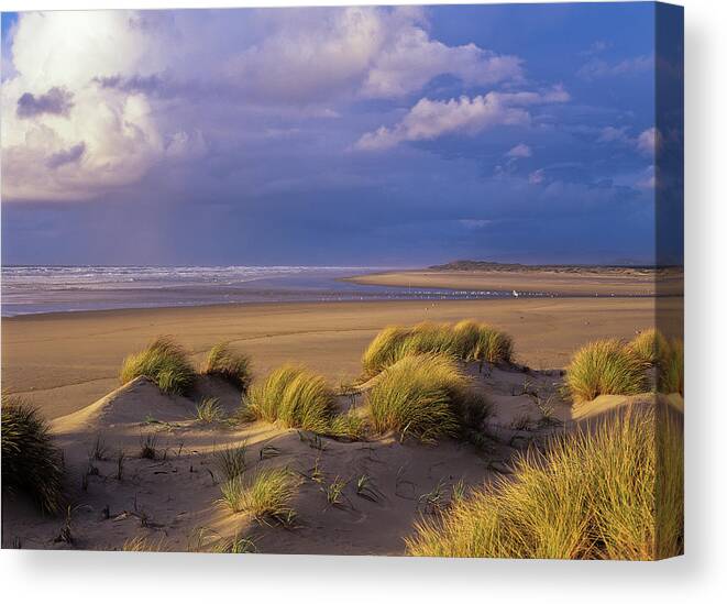 Beach Grass Canvas Print featuring the photograph Siltcoos River Mouth by Robert Potts