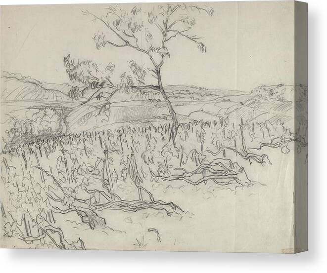 Agriculture Canvas Print featuring the digital art Sketch Of Vineyard by Carl Oscar August Erickson