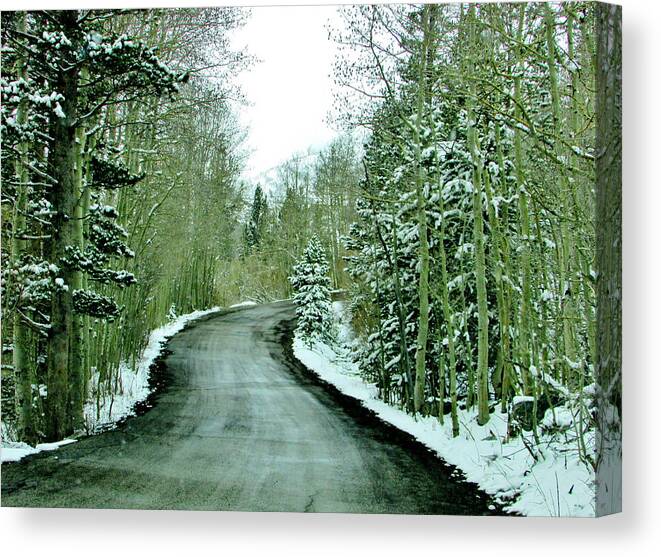 Sky Canvas Print featuring the photograph Slippery Slope by Marilyn Diaz