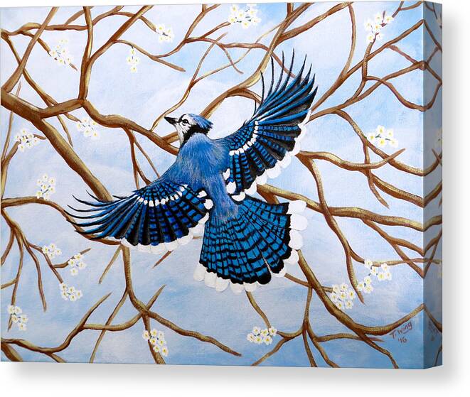 Blue Jay Canvas Print featuring the painting Soaring Blue Jay by Teresa Wing