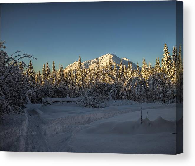 Snow Canvas Print featuring the photograph Sourdough Peak by Fred Denner