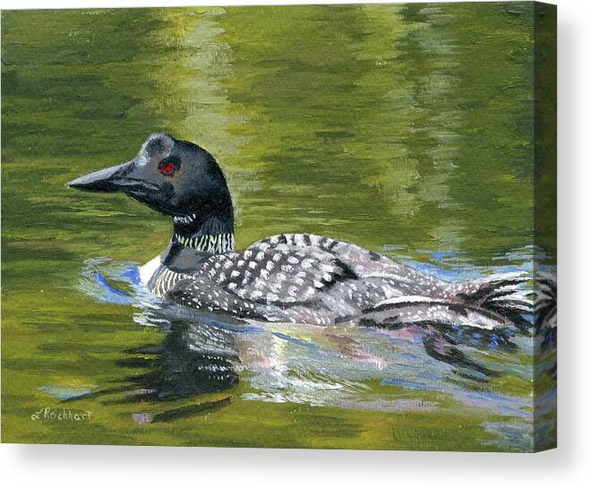 Loon Canvas Print featuring the painting Spirit of the North by Lynne Reichhart