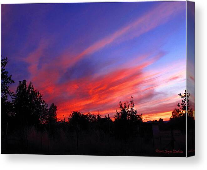 Sunset Canvas Print featuring the photograph Spreading The Joy by Joyce Dickens