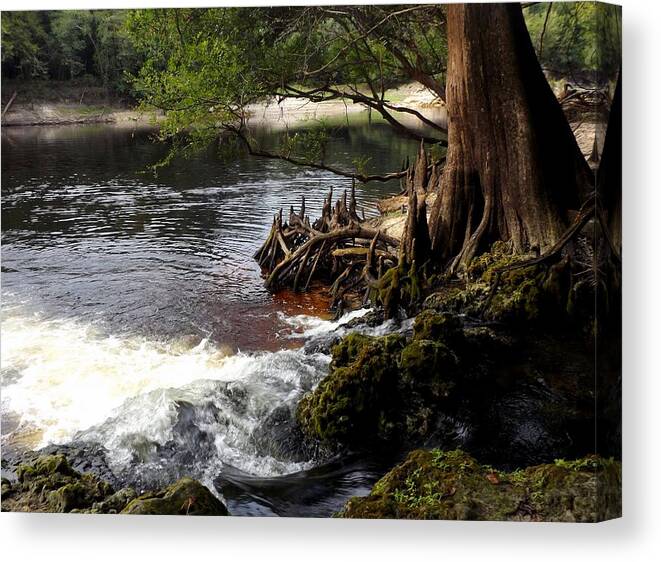 Springs Canvas Print featuring the photograph Spring Gushing by Julie Pappas