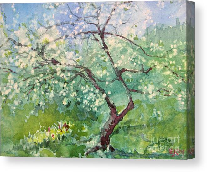 Plum Tree Canvas Print featuring the painting Spring Plum by Elizabeth Carr