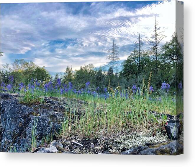 Sky Canvas Print featuring the photograph Spring Sky by Brian Eberly