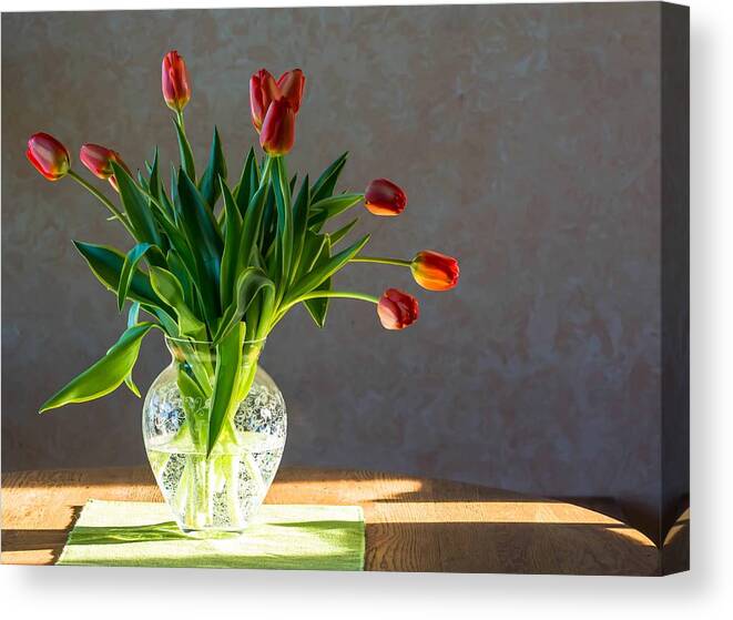 Tulips Canvas Print featuring the photograph Springs Surprise by Patti Raine