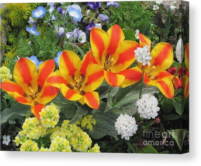 Photography Canvas Print featuring the photograph Striped by Kathie Chicoine