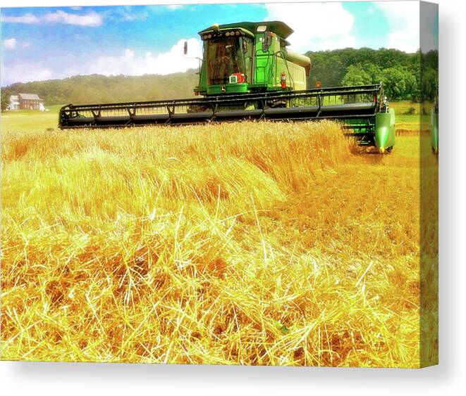 Harvest Canvas Print featuring the photograph Summer Harvest by Kevyn Bashore